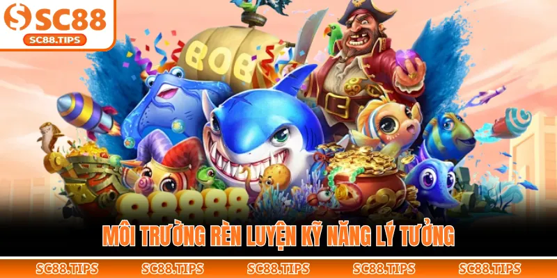 Môi trường rèn luyện kỹ năng lý tưởng