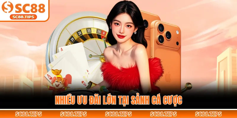 Nhiều ưu đãi lớn tại sảnh cá cược