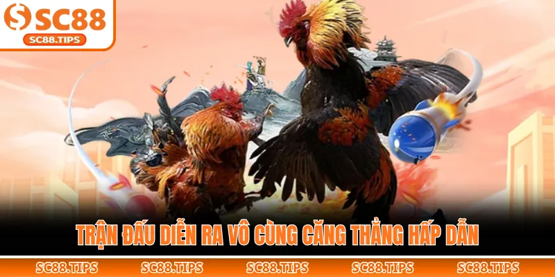 Trận đấu diễn ra vô cùng căng thẳng hấp dẫn